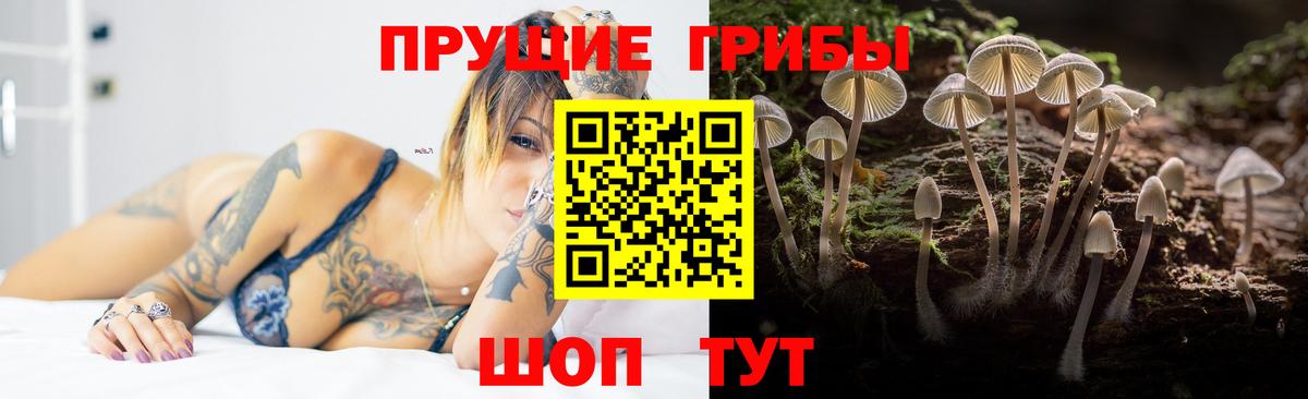 Партизанск  Псилоцибиновые грибы ЛСД  Вход с VPN  что такое   Псилоцибиновые грибы Psilocybe 